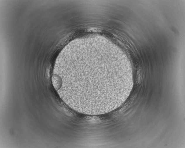 X0000114680424200912021119