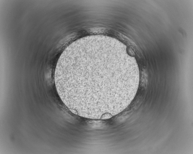 X0000114680428200912021119
