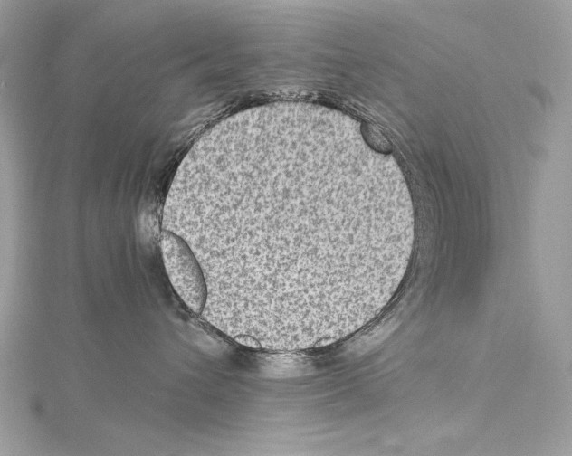 X0000114680432200912021119