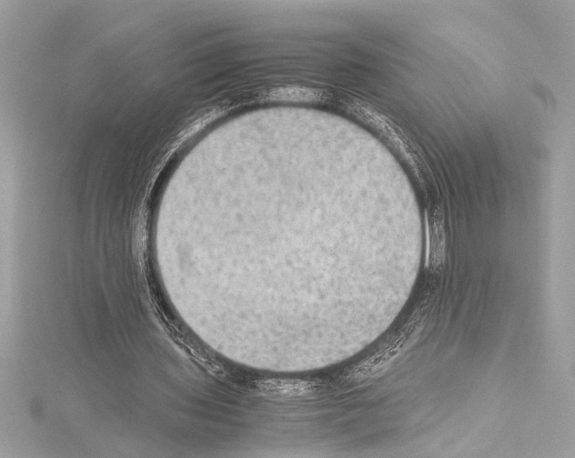 X0000114680435200912021118
