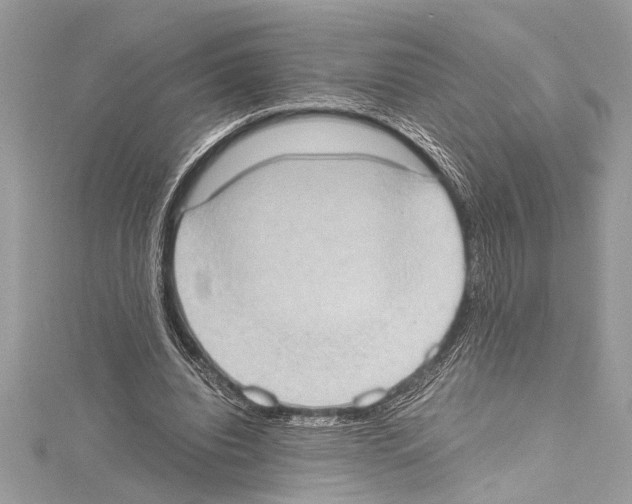 X0000114680440200912021118