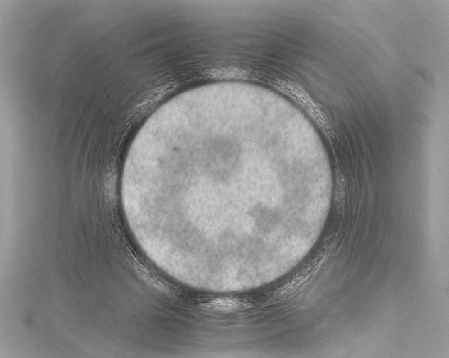 X0000114680441200912021118