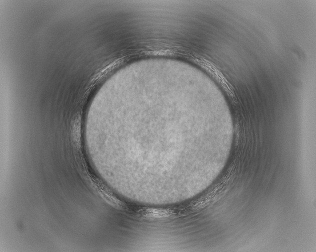 X0000114680442200912021118