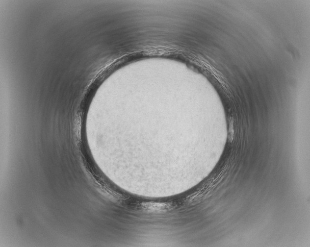 X0000114680448200912021118