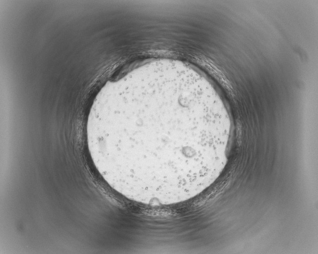 X0000114680449200912021118