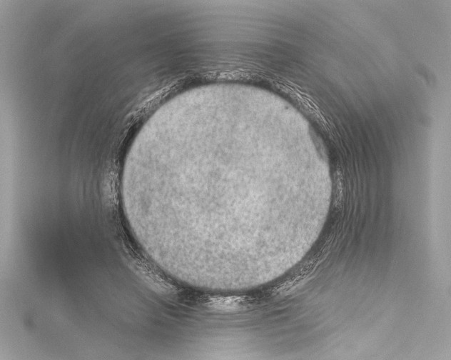 X0000114680450200912021118