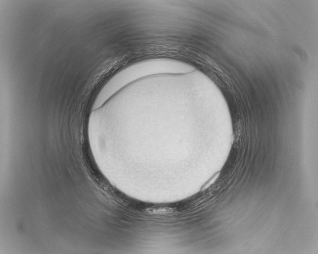 X0000114680452200912021118