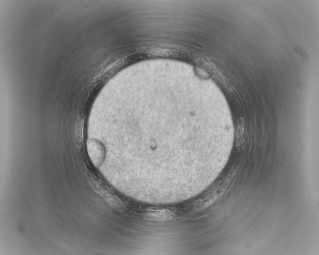 X0000114680454200912021118