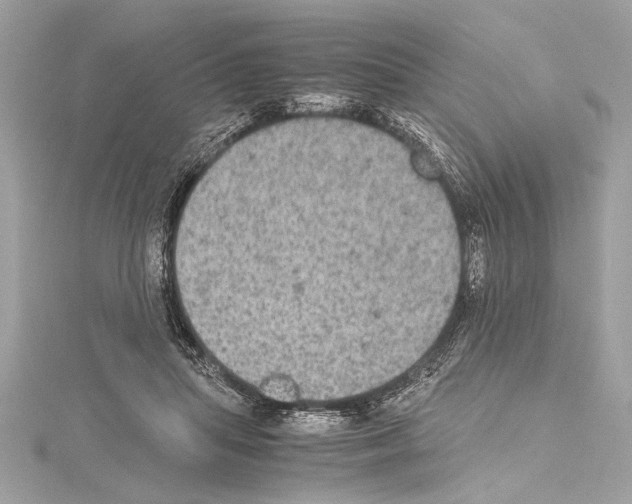 X0000114680455200912021118
