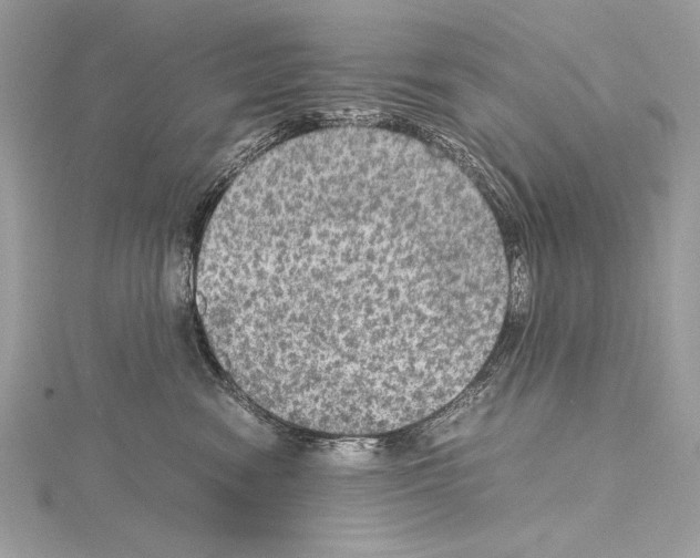 X0000114680474200912021118