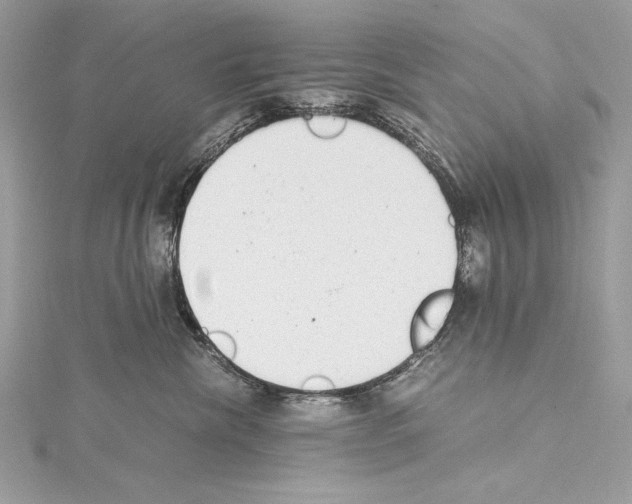 X0000114680476200912021118