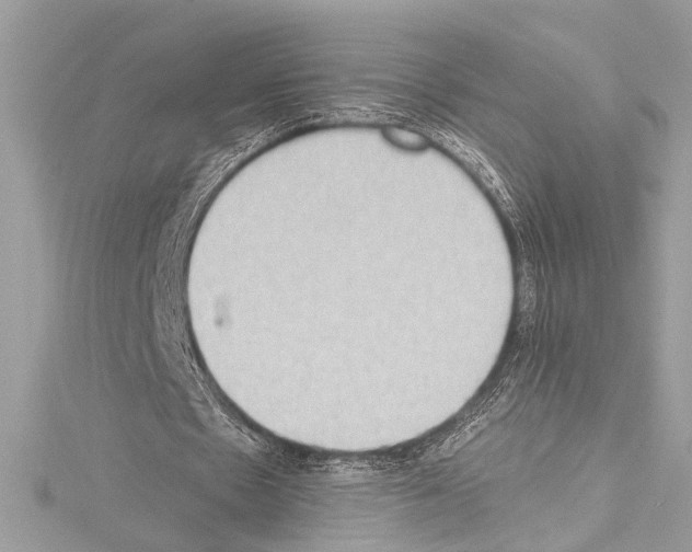 X0000114680481200912021118