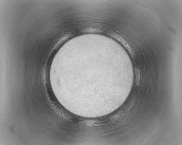 X0000114680482200912021118