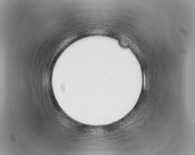 X0000114680483200912021118