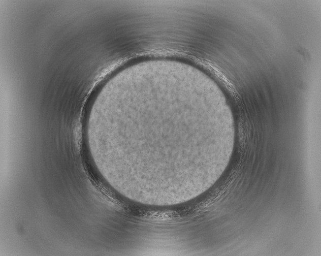 X0000114680488200912021118