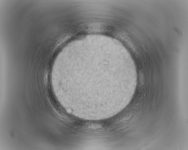 X0000114680491200912021118