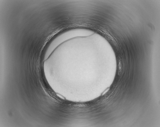 X0000114680492200912021118