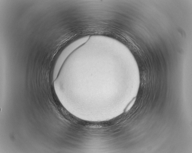 X0000114680500200912021118
