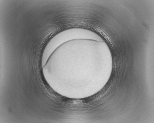 X0000114680501200912021118