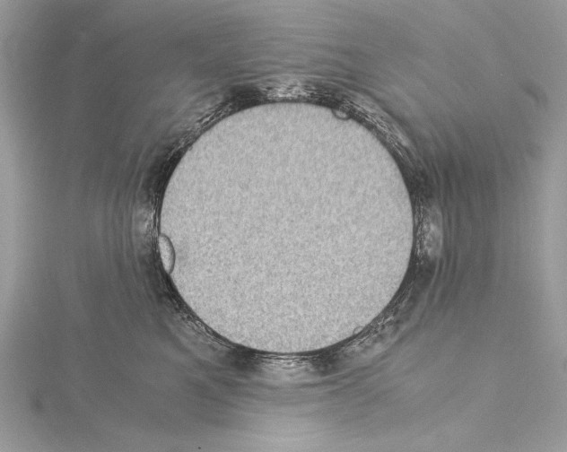 X0000114680521200912021117