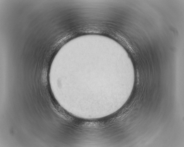 X0000114680538200912021117