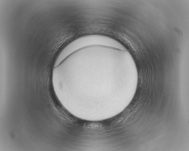 X0000114680546200912021117