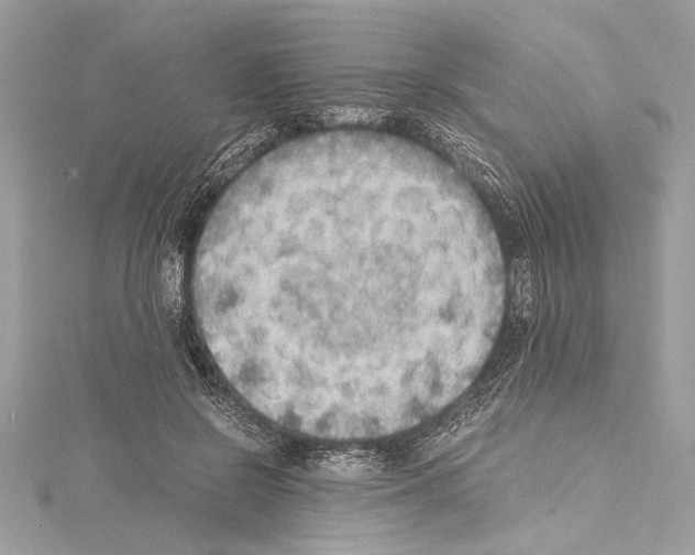 X0000114680550200912021117
