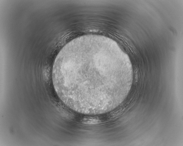 X0000114680559200912021117