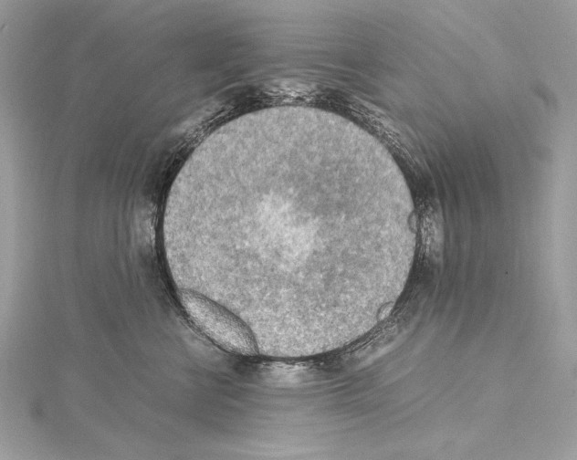 X0000114680570200912021117