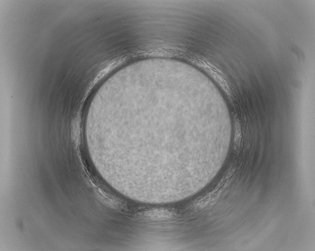 X0000114680578200912021117