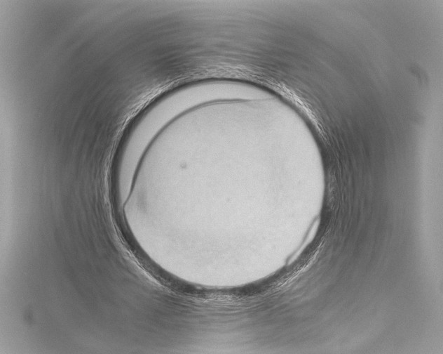 X0000114680581200912021117