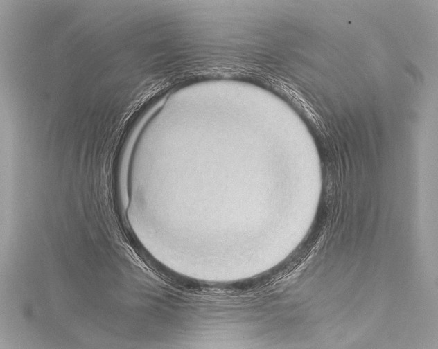 X0000114680585200912021117
