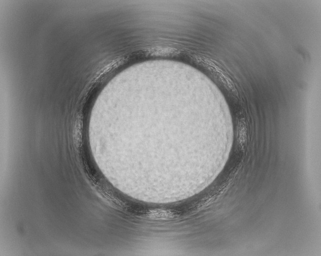 X0000114680591200912021117