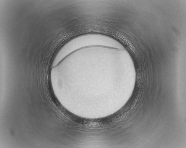 X0000114680593200912021116