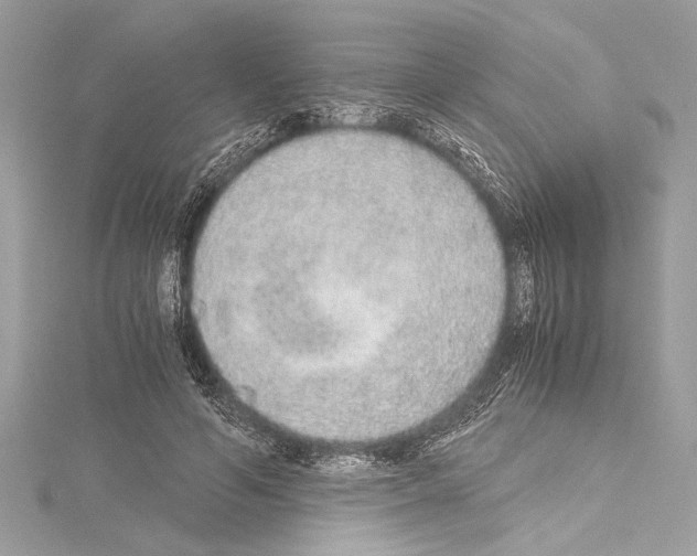 X0000114680594200912021116