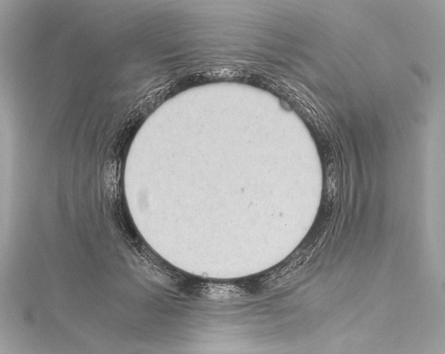 X0000114680605200912021116