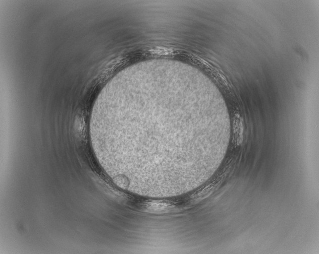 X0000114680614200912021116