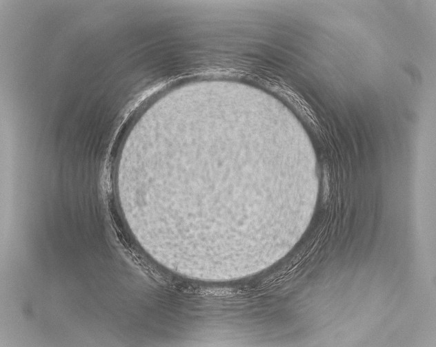 X0000114680628200912021116