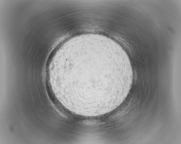 X0000114680630200912021116