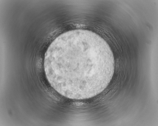 X0000114680650200912021116