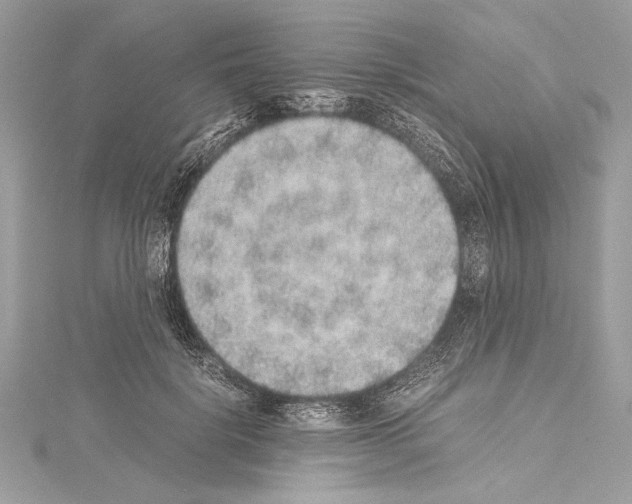 X0000114680652200912021116