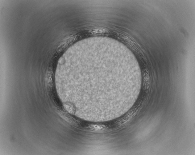 X0000114680654200912021116