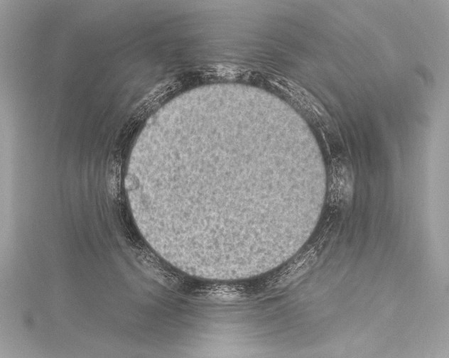 X0000114680656200912021116