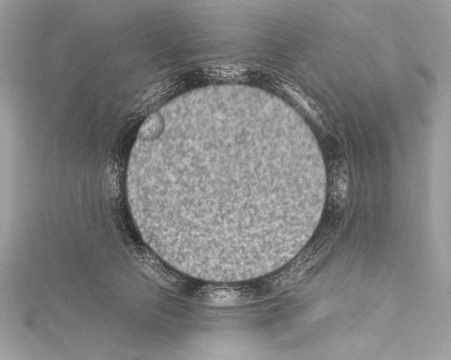 X0000114680658200912021116