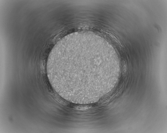 X0000114680661200912021116