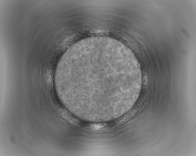 X0000114680662200912021116