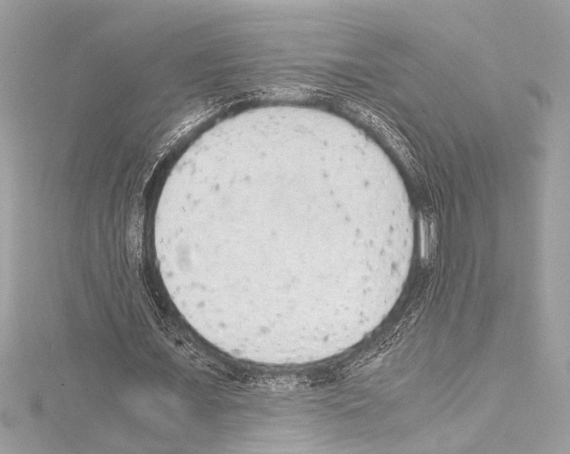 X0000114680675200912021115