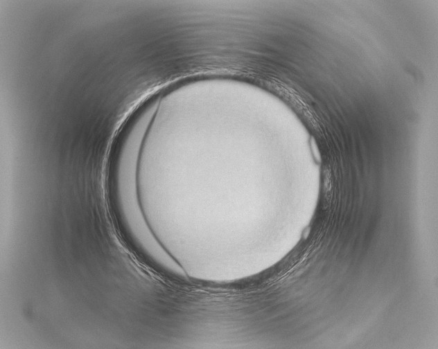 X0000114680676200912021115