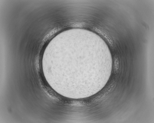 X0000114680682200912021115
