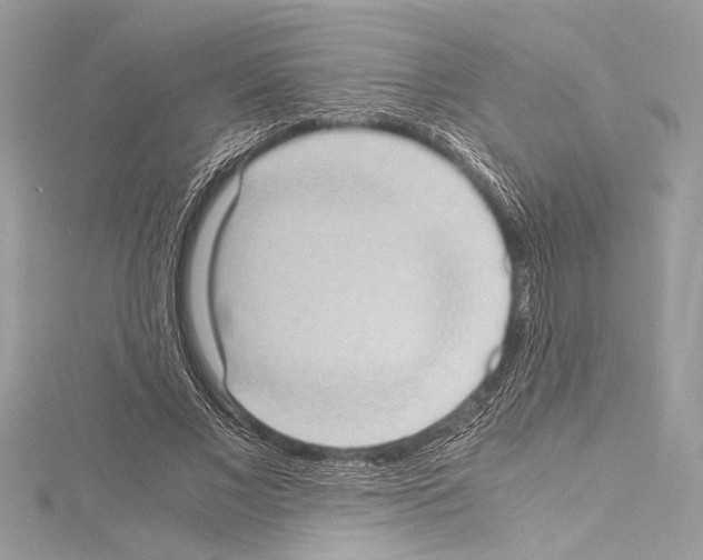 X0000114680685200912021115
